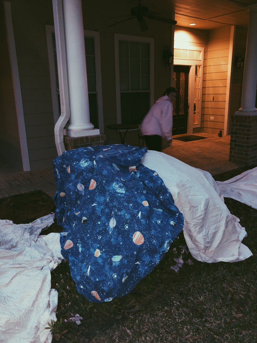 baedonmaddox's tweet photo. Plant protector by day, toga by night https://t.co/zzqjN1OwZZ