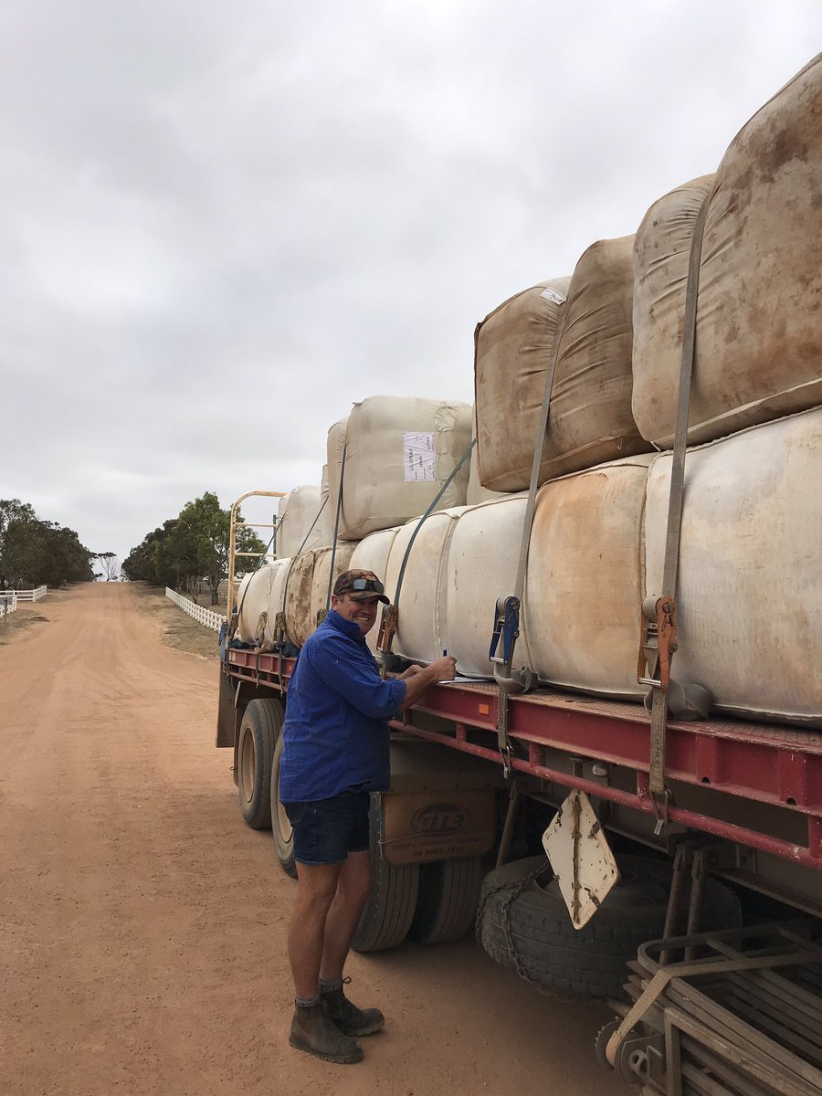 MerinosPoll's tweet image. Sending some bales off to market this morning!