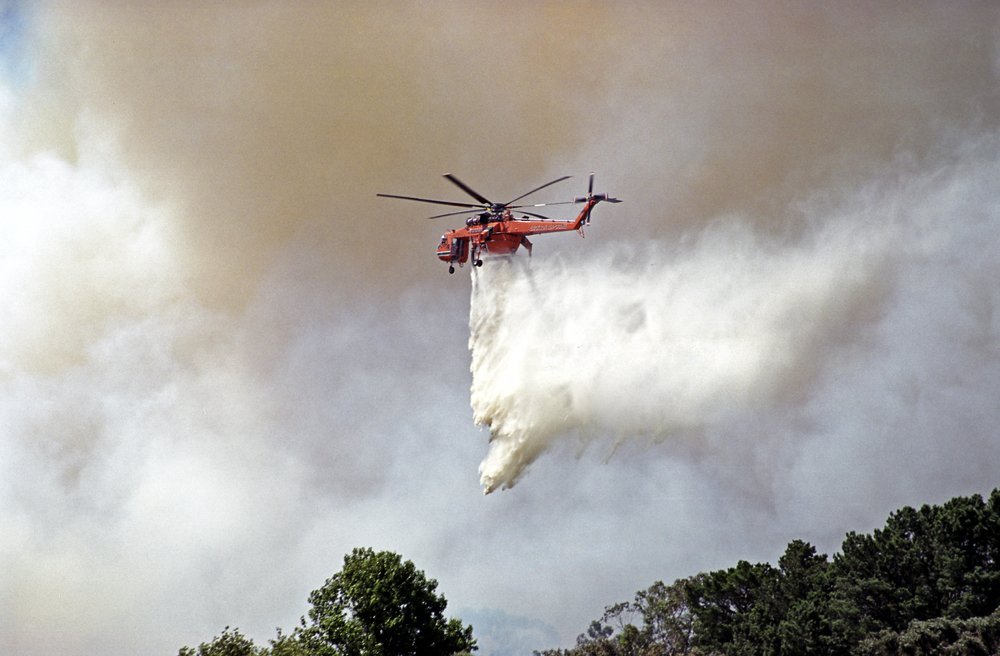 ANZ Newsroom tweet media