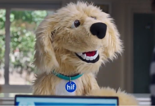 AdNews's tweet photo. HIF celebrates 65th birthday with new campaign. https://t.co/6PAFaDFmnP https://t.co/iVDmjp81Ap