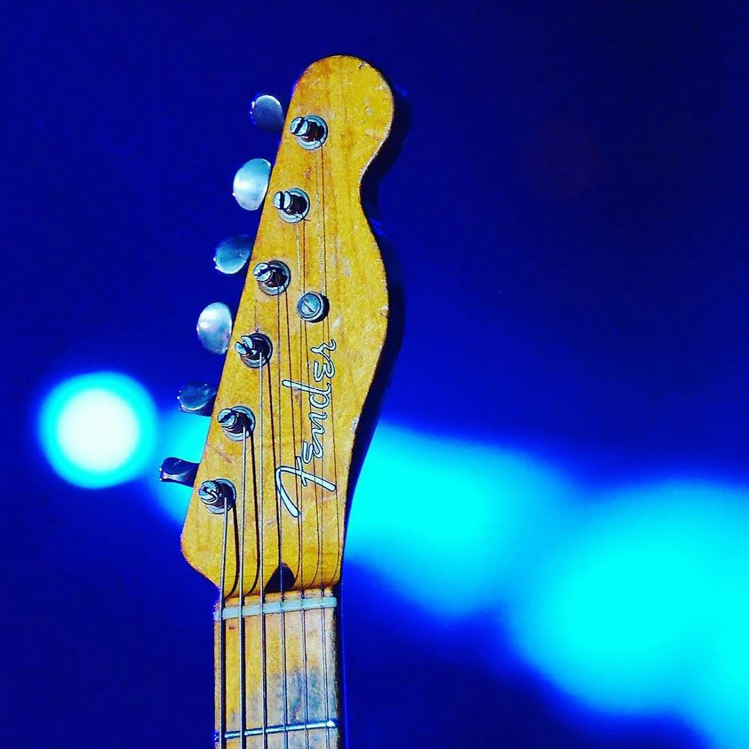 gemargitar's tweet image. 