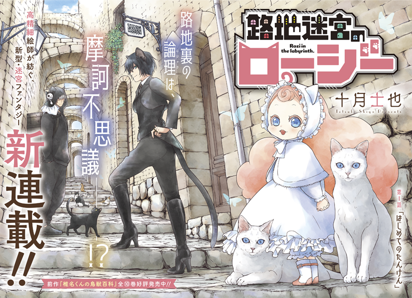 【月刊コミックガーデン 2017年 10月号】 【魔法使いの嫁 着せ替えカバー】 71dReN6OMCL.jpg