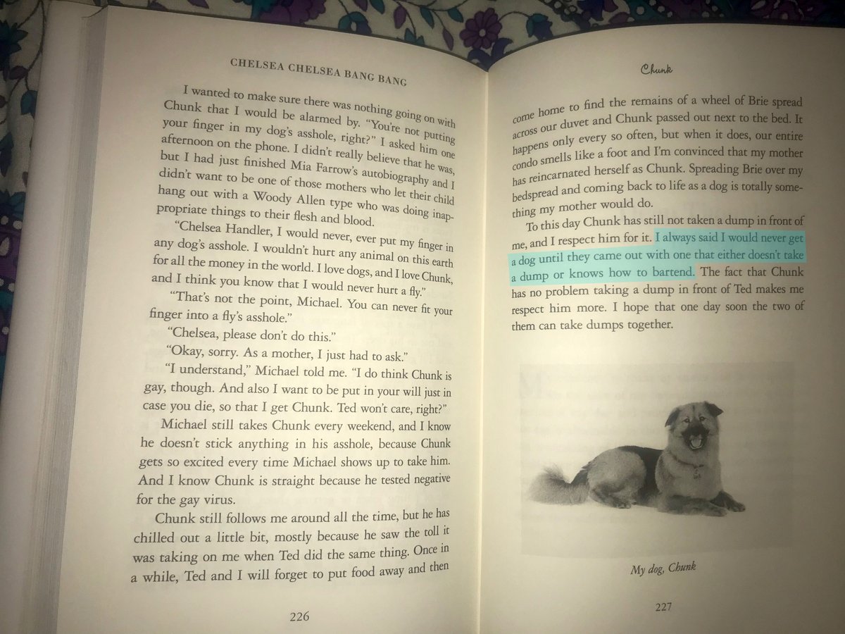 GlazeDnut's tweet photo. @chelseahandler "I always said that I would never get a dog until they came out with one that either doesn't take a dump or knows how to bartend"  @chelseahandler from #chelseachelseabangbang 
#Lifewillbethedeathofme https://t.co/WWZZpLlxzG