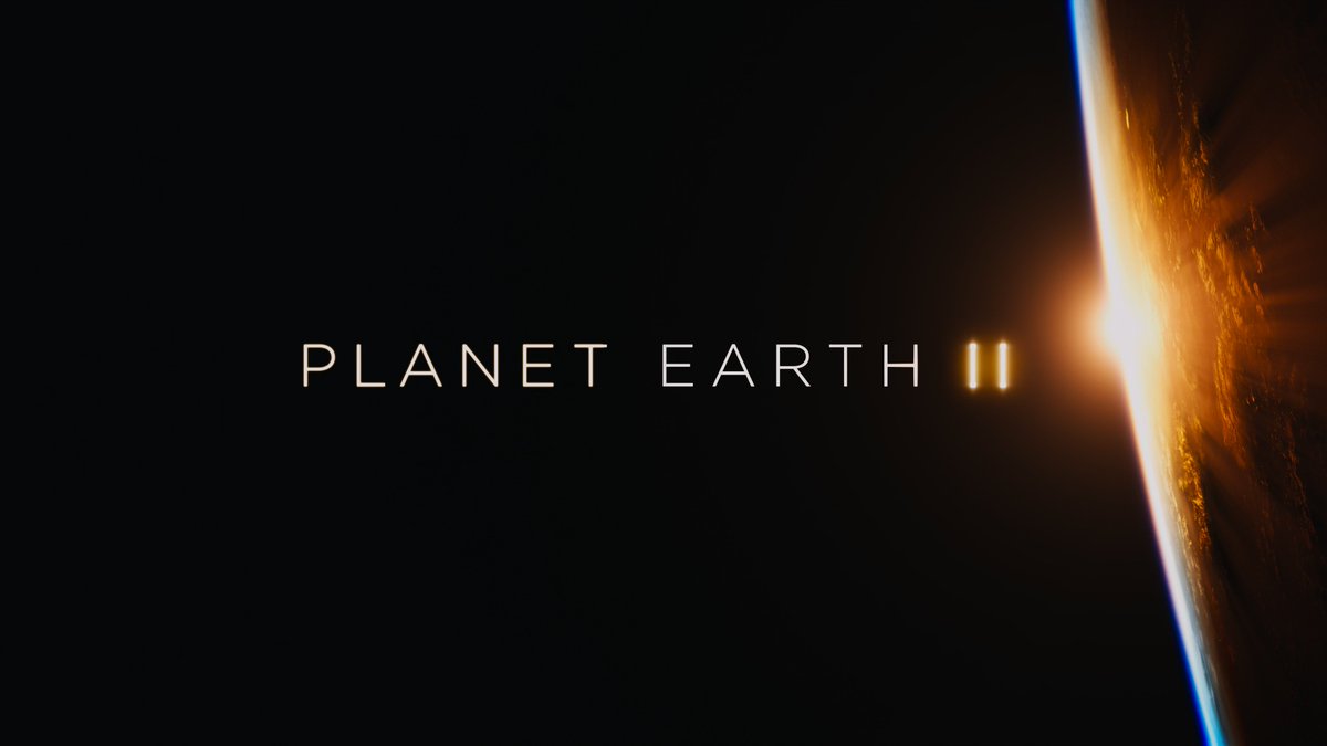 HighDefDiscNews's tweet photo. Planet Earth II - 4K UHD Blu-ray Screenshots 

#4K #4KScreenshots #Screenshots #UltraHD @UltraHDBluray #BBC #BBCEarth #PlanetEarth #Nature #NaturePhotography 

VIEW the whole 2GB set (147 shots total) HERE: https://t.co/tzgWGCTWnd https://t.co/DvDhO9GnKK