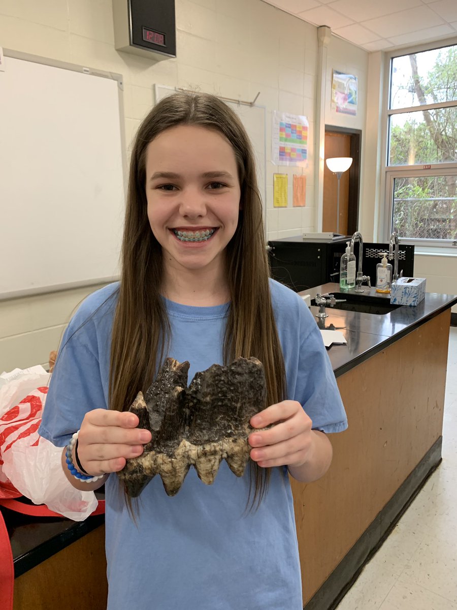 farrarpizitz's tweet photo. Awesome fossils! Trilobite and tooth  #pizitzlearns @pizitzmiddle https://t.co/Xdt04RvTQq