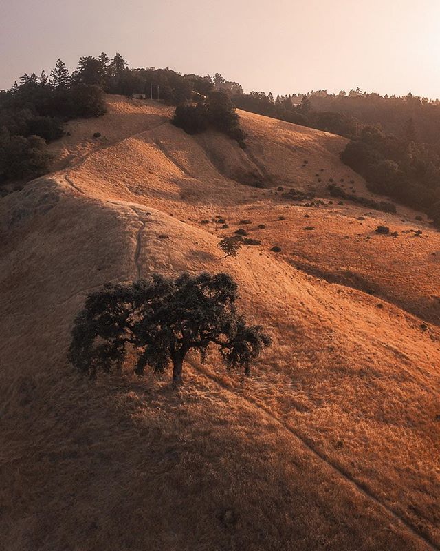 RichExploration's tweet photo. Smokehaaaaayze 💨 . .
.
#optoutside #theoutbound #stayandwander #folkgood #artofvisuals #ourplanetdaily #exploretocreate #peoplescreative #folksouls #roamtheplanet #wildernessculture #discoverearth #ourplanetdaily #earthpix10k #earthofficial #folkscen… https://t.co/3EReYXRkka https://t.co/vAk6TbfkxX