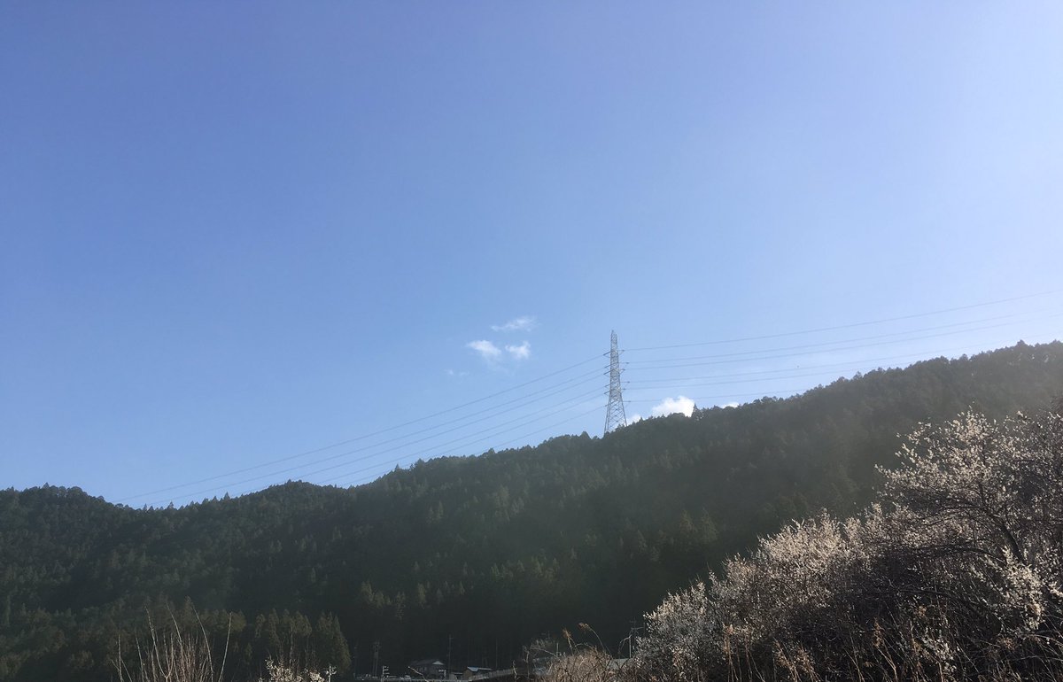 春が好きなのに嫌い