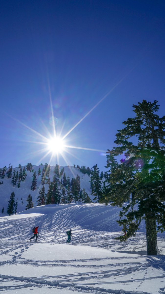MichaelReports's tweet photo. Awesome day snowshoeing up near Mt. Baker. Loving this sun! #k5explore @KING5Seattle https://t.co/8DQGHZs6bv