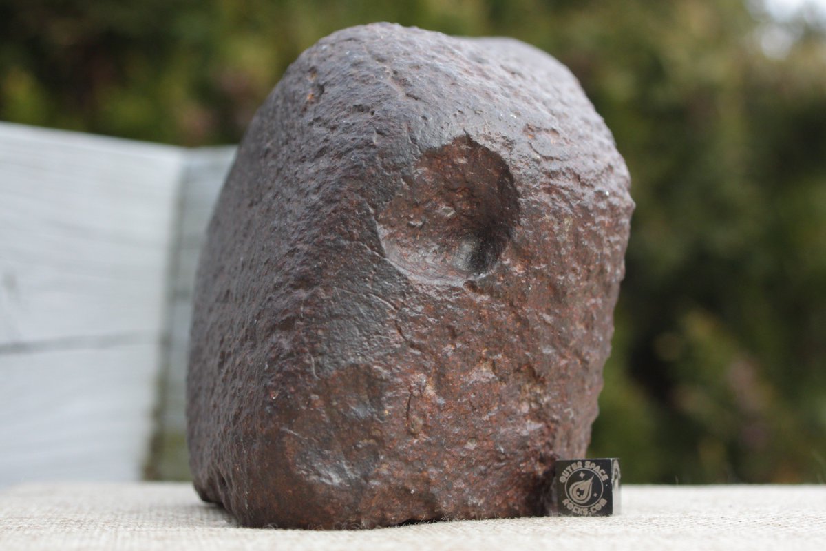 OuterSpaceRocks's tweet photo. #Meteorite individual found in Western Sahara 2018. A prominent section has black #fusioncrust with wavy #regmaglypts. The most dramatic 25mm gaping wide #chondrule blowout is showcased along the leading edge of #ablation. Lots of visible metal and #chondrules up to 7mm in width https://t.co/QquheYGcKd
