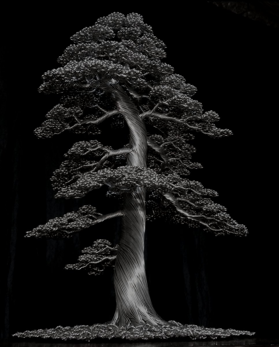 kaitrees's tweet image. Tree