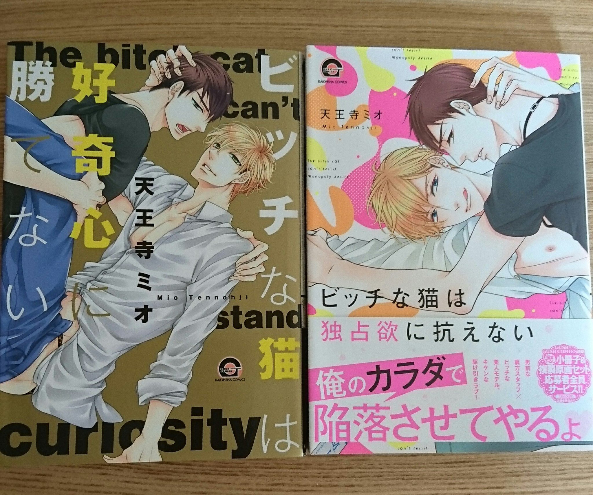 ゆみん Sur Twitter 25時のキスマーク 読んだから読み直すよね もちろん どっちかでクロスして欲しいなー ビッチな猫は好奇心に勝てない ビッチな猫は独占欲に抗えない 天王寺ミオ 先生