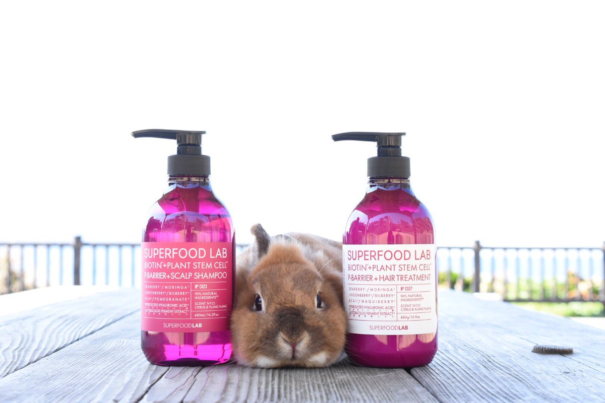sanbiki4123's tweet photo. かわいいスカルプシャンプー&トリートメントが届きました(o^^o)
容器の色が斬新です♫
#SUPERFOODLAB #SUPERFOOD #スカルプケア #頭皮ケア #自然由来 #シャンプー #トリートメント
あなたの髪と地肌を守る BIOTIN+P-BARRIER SCALP SHAMPOO / HAIR TREATMENT https://t.co/UeTHv46Lsq