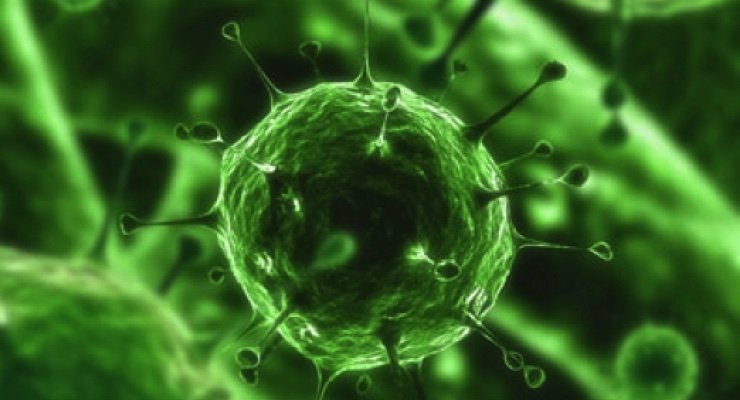 RonnyAllan1's tweet photo. Exciting news from California, first patient treated in #OncolyticVirus #clinicaltrial #NeuroendocrineCancer #pexavec
https://t.co/MOt1MNmlER https://t.co/QzijxjjR6X