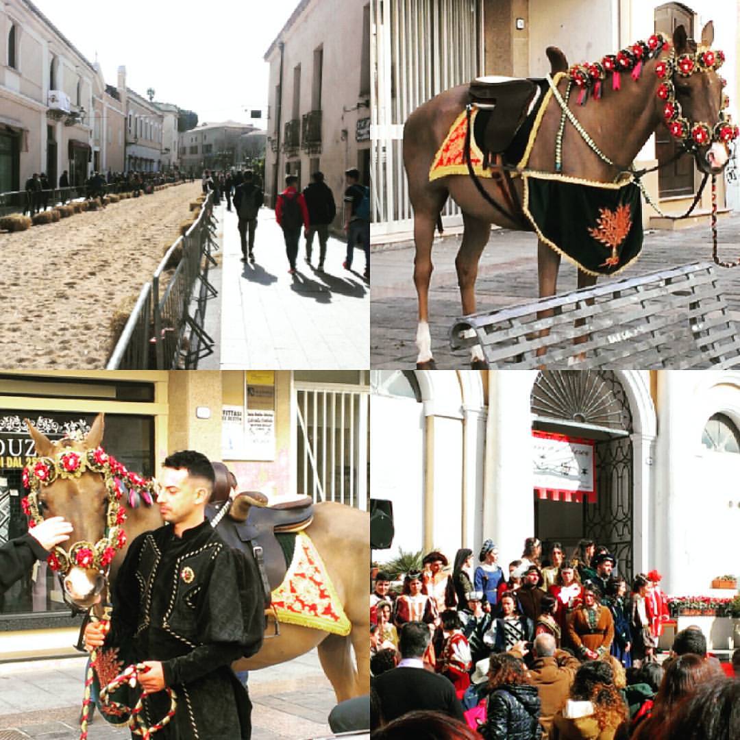 Due anni fa eravamo in #Sardegna anche noi per la #Sartiglia. Oggi ci stiamo godendo la diretta streaming della vestizione de Su Componidori per il Gremio dei Falegnami 🐎 sul sito <a href="/SaSartiglia/">Fondazione Oristano</a>  

#Viaggiando #martedigrasso