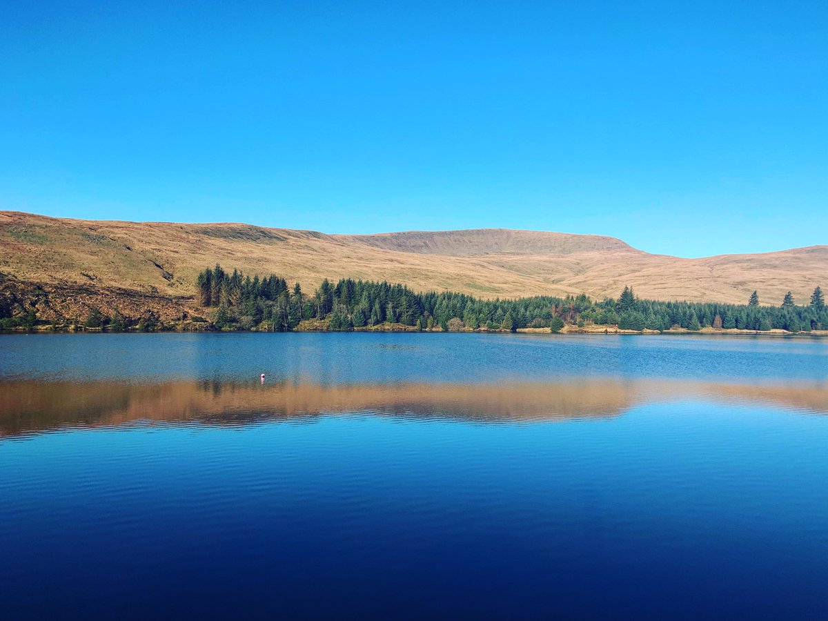 Dan Doherty tweet media