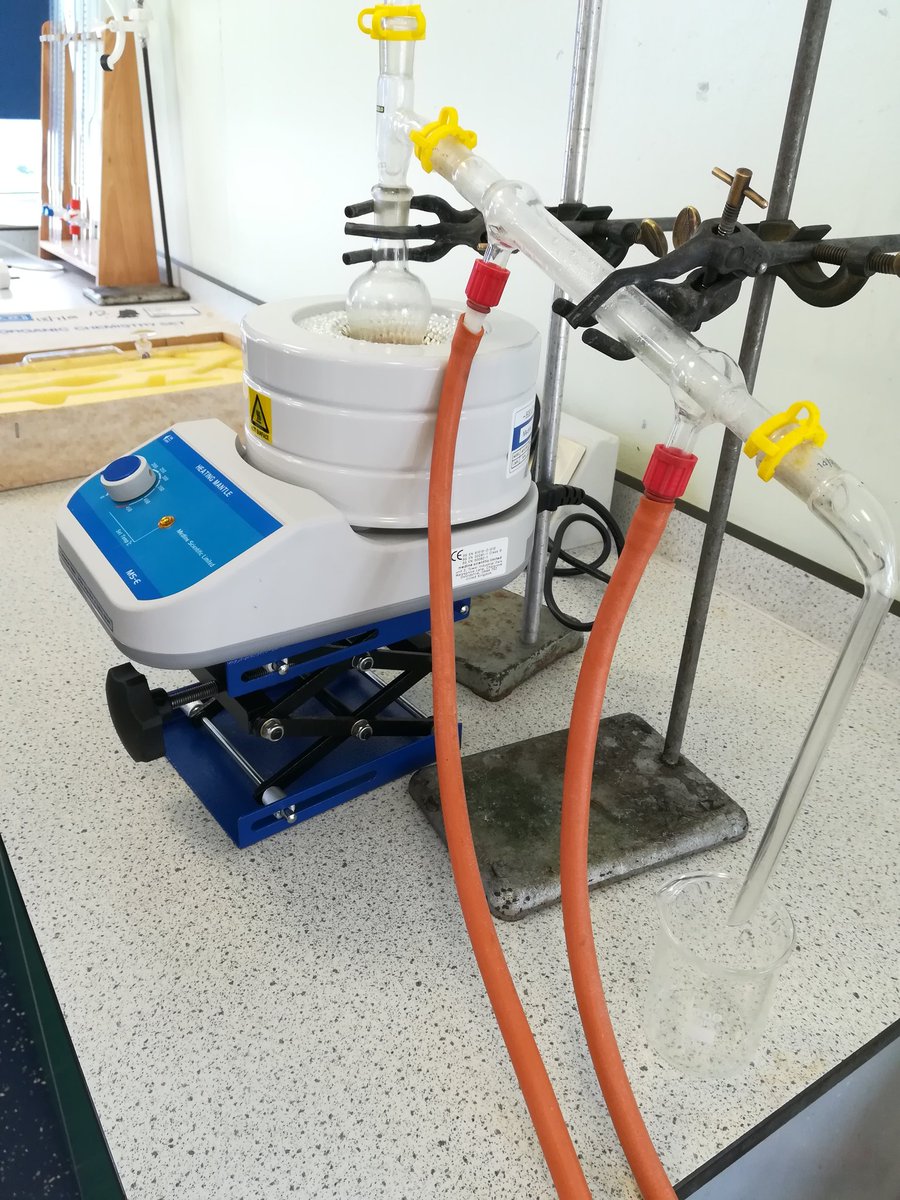 St Wilfrids Science tweet media