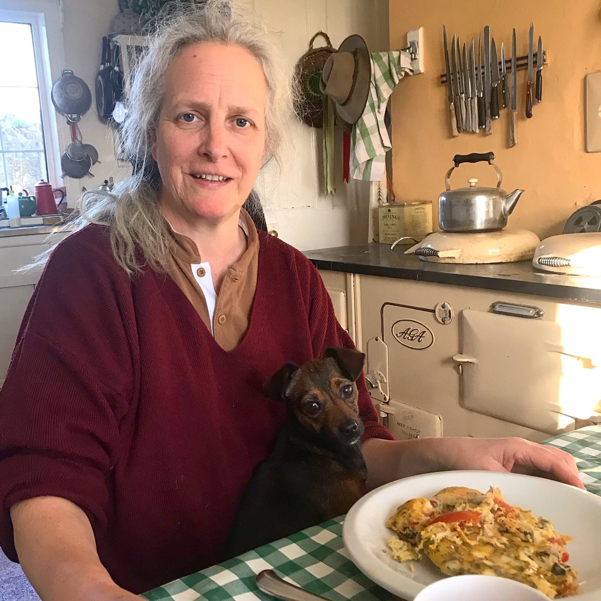 sarahmcquaid's tweet photo. There’s the World’s Smallest Sheepdog again! Cute as a button. And her human is beautiful too, inside and out! So good to see you again, Suzanna. Massive thanks as always! @WSheepdog @ZwartblesIE @1CatShepherd #catshepherd #worldssmallestsheepdog #inca #aga #agabreakfast https://t.co/18sabRwAES