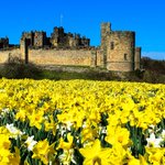 Photo by Northumbria Cottages (@NorthumbriaCCC)