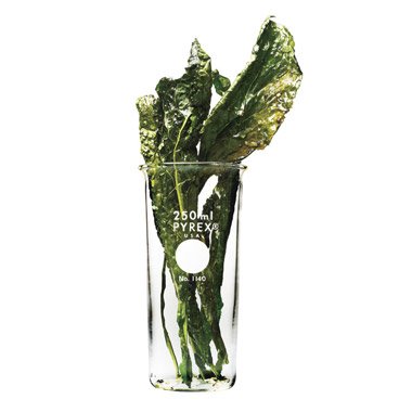 lulzchef's tweet photo. 😋Tuscan Kale Chips

Here we go -- replacing olive oil 👨‍🍳 with Samsung 4D-printed bread!
Ambrosial!

https://t.co/E1KbpJxpaM https://t.co/C7yosGrEhl