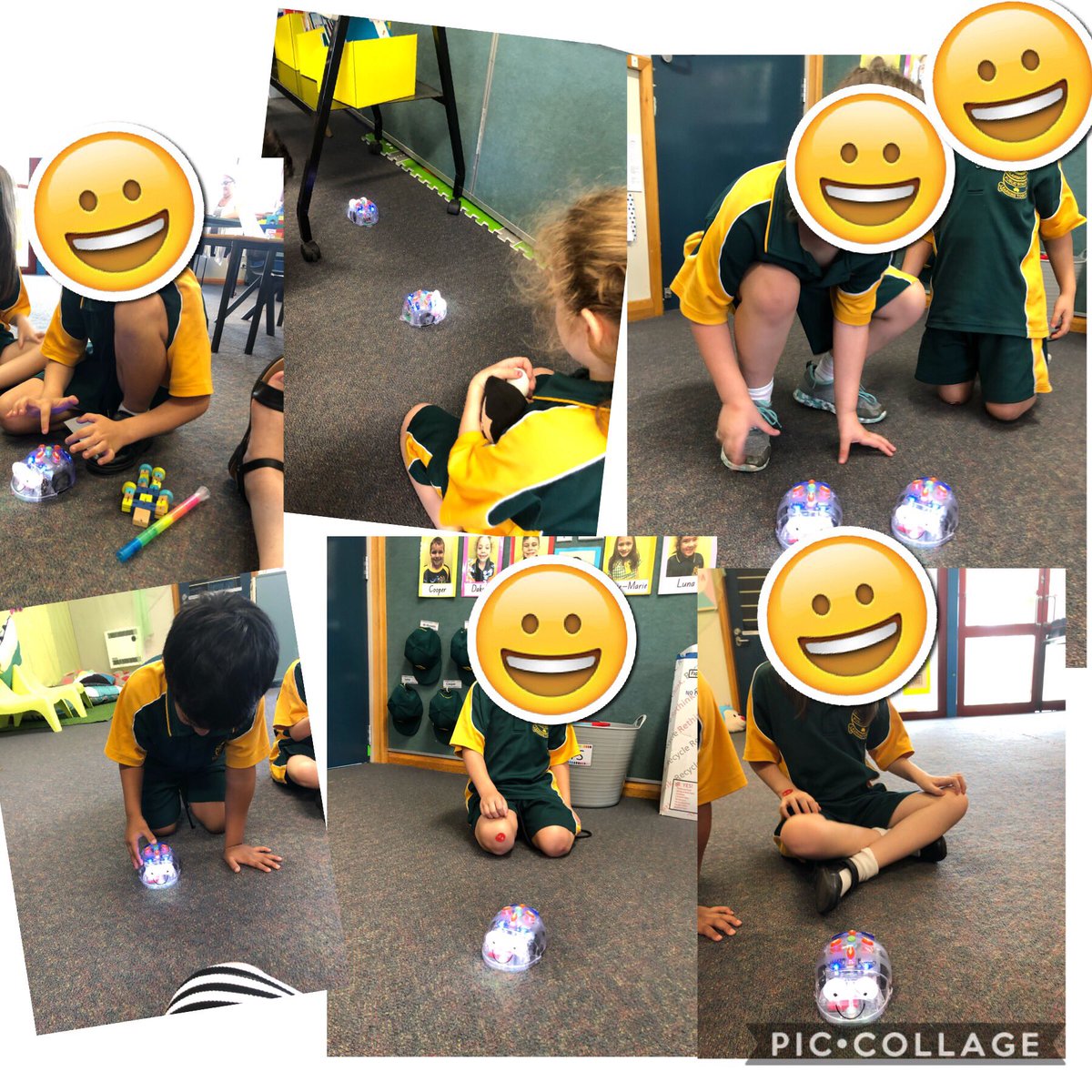 K-1S used the blue bots for the first time today! They had so much fun manouvering them around the classroom! #fun #Coding #bluebots #SpecialEducation #autism #supportclassroom @BlairmountPS