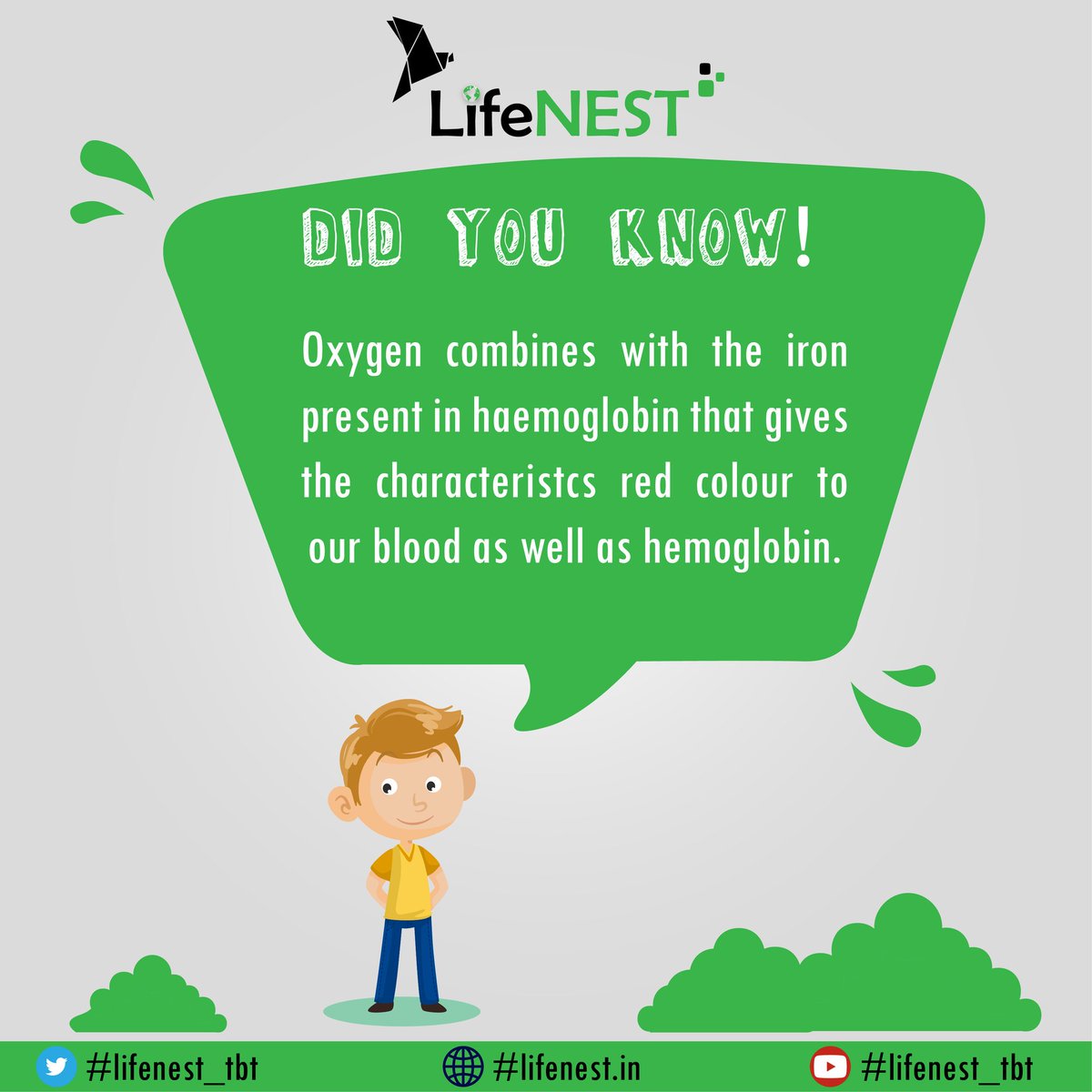 lifenestindia's tweet photo. Did You Know?
.
Facts for Blood
.
Keep Donating, Keep Smiling.
.
#lifenest #health #healthylife #facts #dyk #healthybody #save #savealife #donation #savior #yourlife #blooddonation #donor #blooddonor #donating #donated #savelifegiveblood #donteyoursmile #launchingsoon https://t.co/NatcNXcLCj