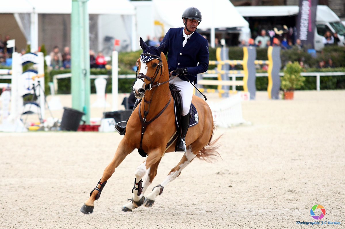 #TuesdayMotivation 😎 Talent dans le Grand Prix CSI 2* de Royan .
📷 JC Bordas