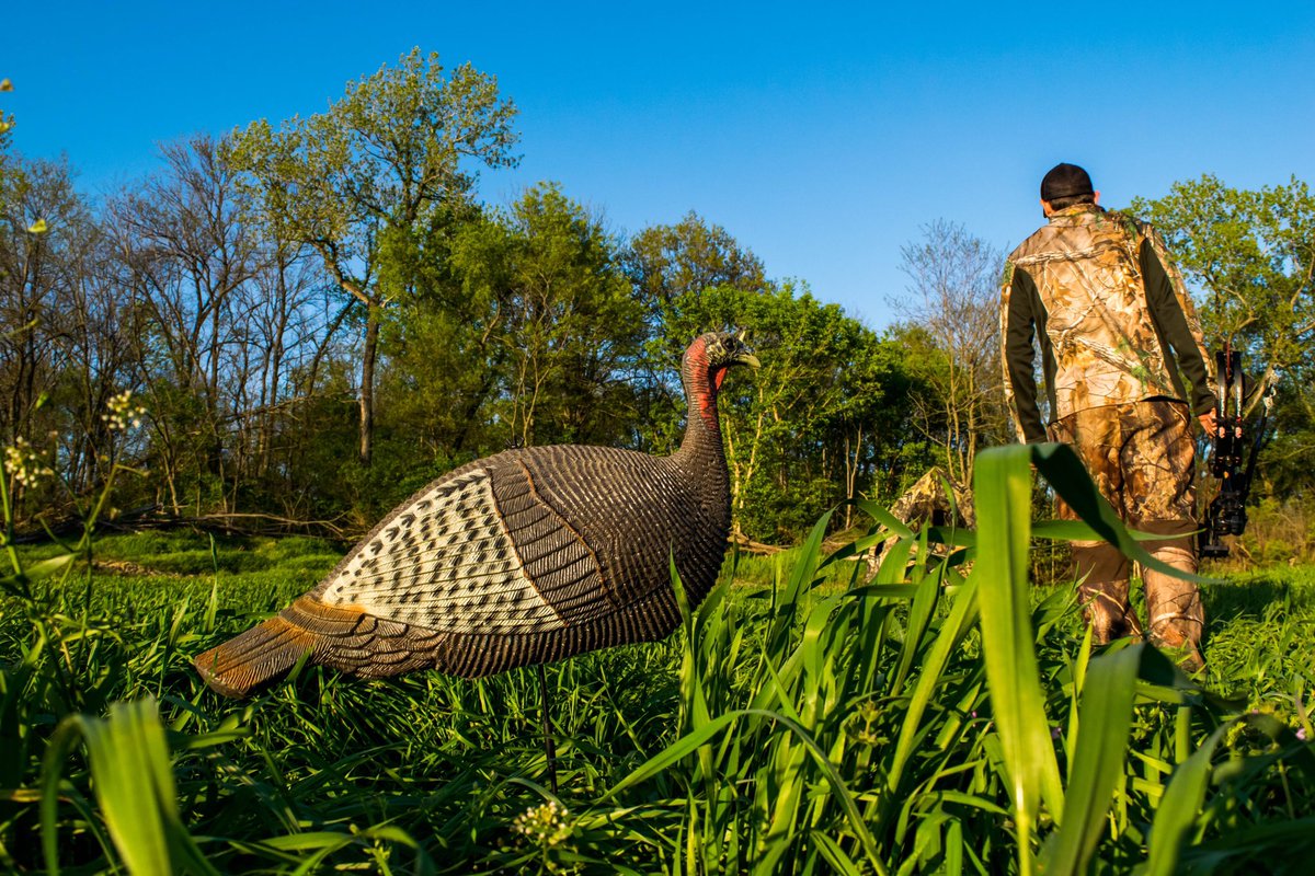 GhostsoftheFall's tweet photo. Who's ready for Turkey Season???#hellyeah #hunting #season #decoys #outdoors #springgobblers #thunderchicken #longbeards https://t.co/A0JgpgF1YA