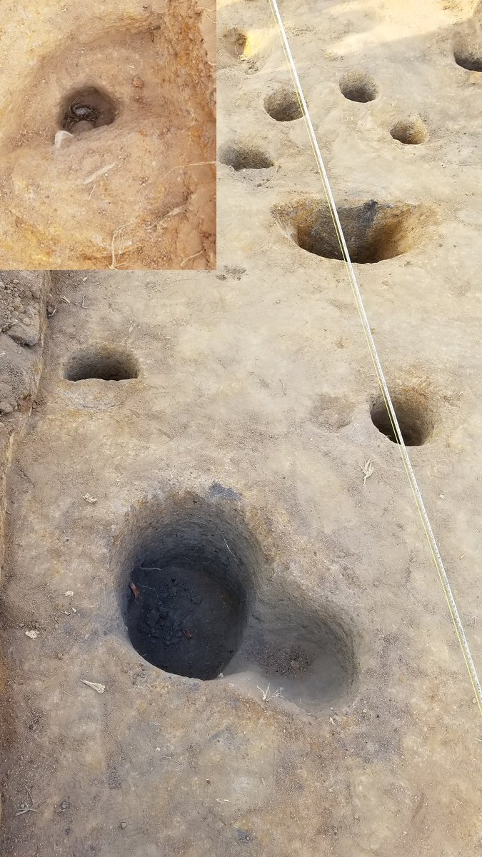 LLeungg's tweet photo. Fortunate to have worked with the Cambodian Ministry of Culture & Fine Arts, @FLINArchaeology & Nabunken at #Longvek the 16-17th c. capital. Had a great time recovering tradeware ceramics! Diverse range of artefacts & trench animals π±πΆππ¦ https://t.co/qjn8aDX54R