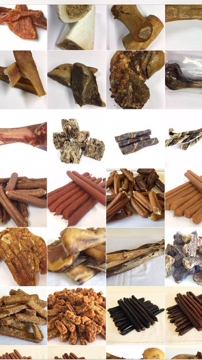 #WellingtonPet
Treating your #pets 
#naturally
Since 1973
<a href="/BoostTorbay/">Boost Torbay</a> 
#DogsofTwittter