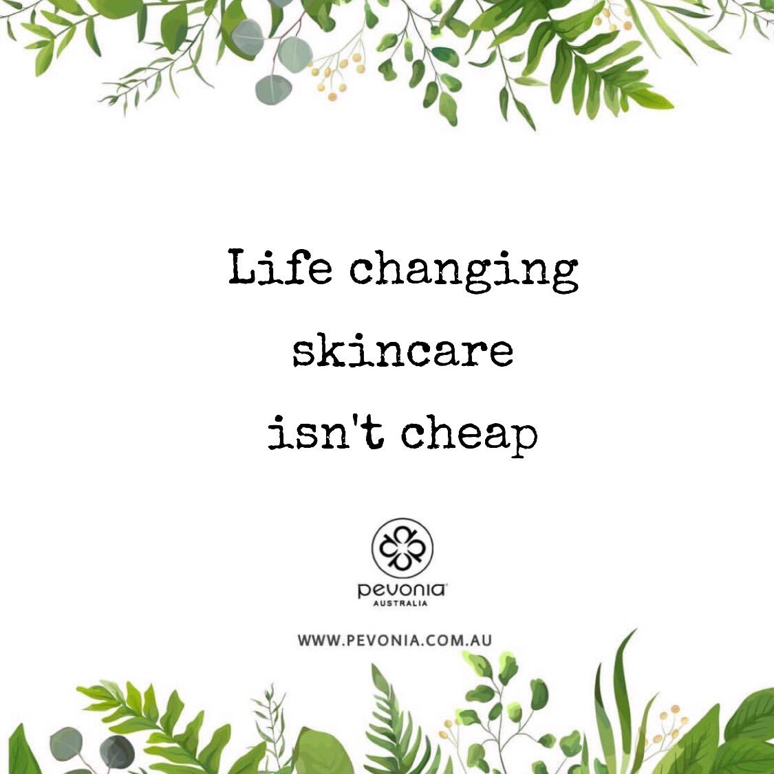 PevoniaAust's tweet photo. A lot goes into formulating a truly effective and high performance skincare and you can’t expect it to be cheap. The organic extracts, powerful ingredients, the cutting-edge technology, chemical-free formulation, eco-packaging — all these make a skincare worth it! https://t.co/FfugHED64g