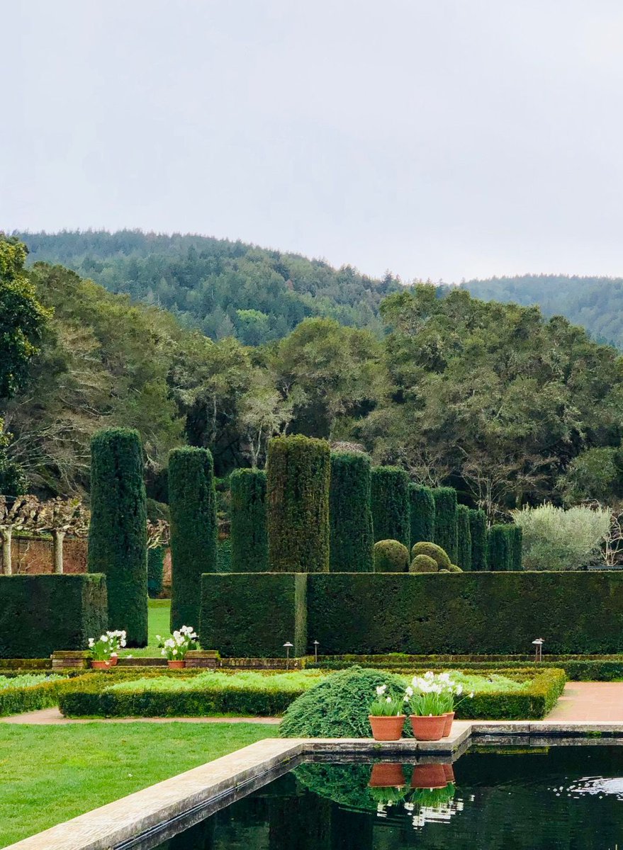 Join one of our #specialtytours and learn more about our greenhouses, our bulb displays, discover wildflowers on a hike, or stroll around the gardens, enjoying the beauty of our camellias. Get your tickets here: buff.ly/2EGScA5
#SpringAtFiloli #SwingIntoSpring #Gardens