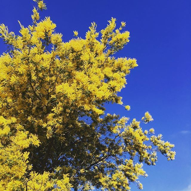 StepInSicily's tweet photo. Primavera.
.
#etna #etnatour #spring #nicolosi #exploresicily #excursion #wintertour #volcanotrekking #volgocatania #explore #adventure #beautifulplace #bestofsicily #outdoors #localguide #landscape #cratere #activevulcano #stepinsicily #natureguide #etn… https://t.co/626twpP5jU https://t.co/38p4sULF9F