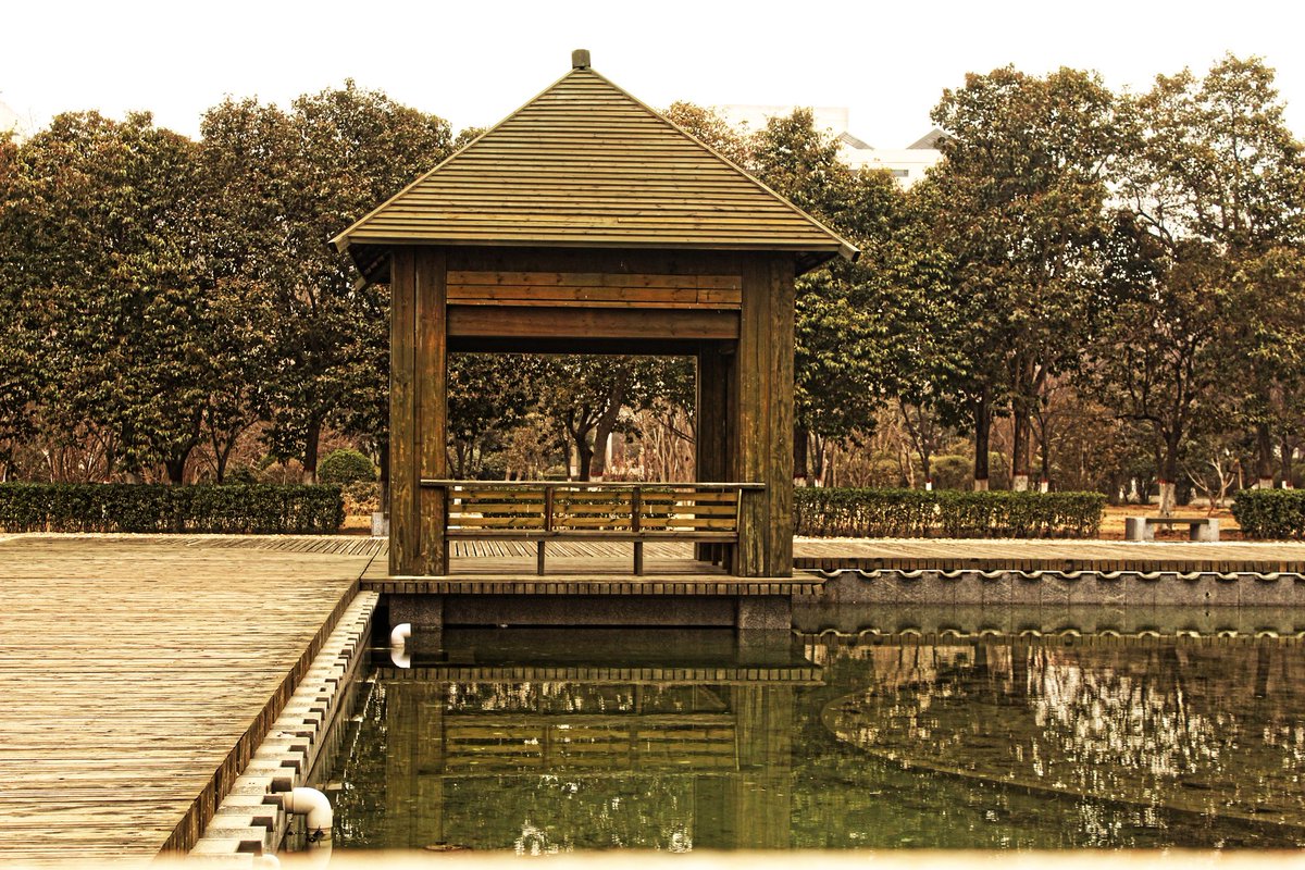 Catching_Sky's tweet image. Photography is a disease and i want to live with this disease...!!!