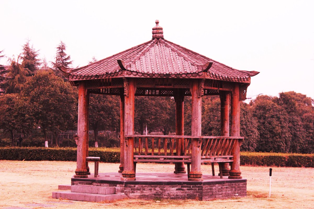 Catching_Sky's tweet image. Photography is a disease and i want to live with this disease...!!!