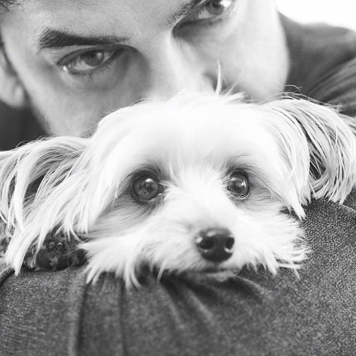 Filmfever2014's tweet photo. #Bollywood Mr.Perfectionist #AamirKhan with his pet Imli. https://t.co/fmQzrAzabw