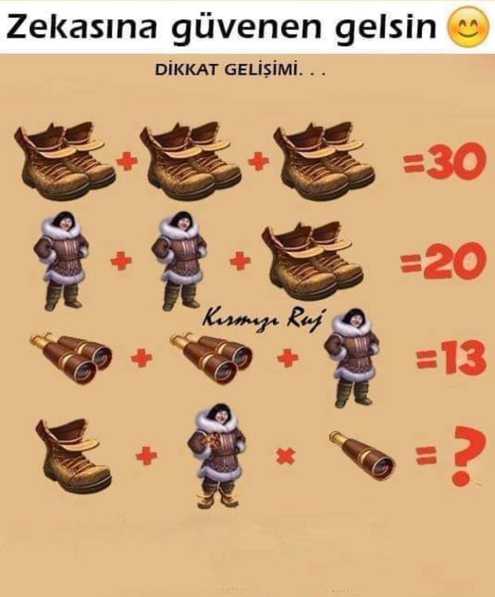 Gökçe Özcan tweet media