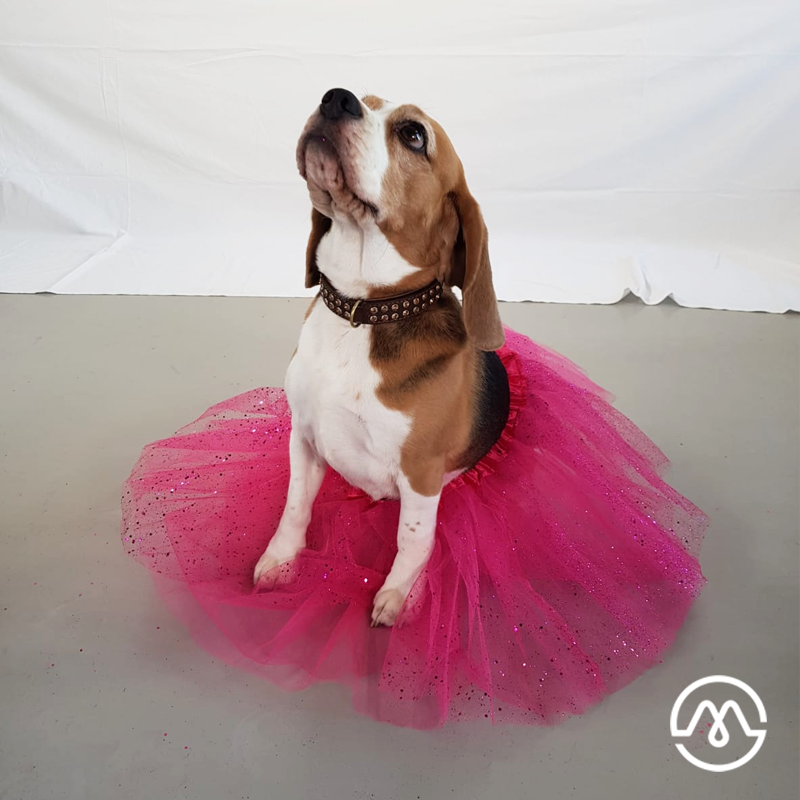 SUPER-crew!
Bloast nog unne keer…