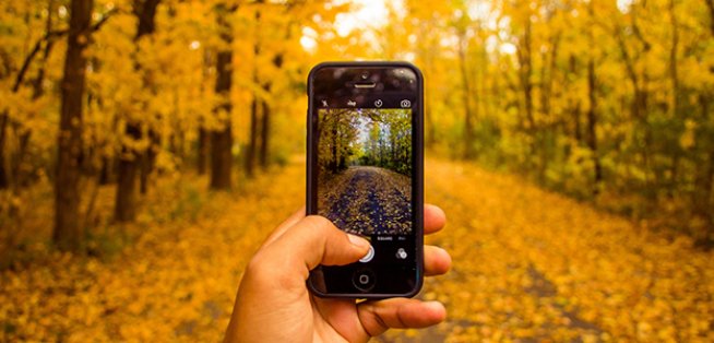 mac_birmingham's tweet image. Focus on slowing down, relaxing and enjoying your surroundings - Introduction to Photography for Wellbeing with experienced tutor @kategreenphotog. Don't have a camera? Don't worry, you can use a phone instead! Book now for Wed 20 Mar: macbirmingham.co.uk/event/introduc…