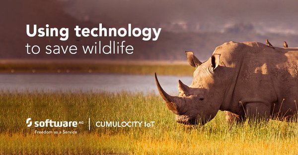 Honoring #WorldWildlifeDay yesterday, @anthonyatSAG investigates the intersection of #IoT and conservation. Here's what he found goo.gl/oWfPuj