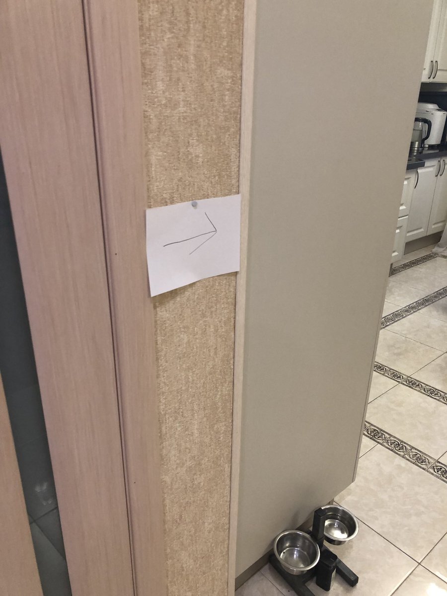 pheroin's tweet photo. Загадали загадку про посудомоечную машину, а в ней были конфетки.
How do I even deserve these angels? https://t.co/FT3kwAonxr