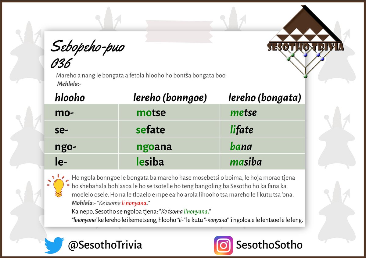 Sesotho Trivia tweet media