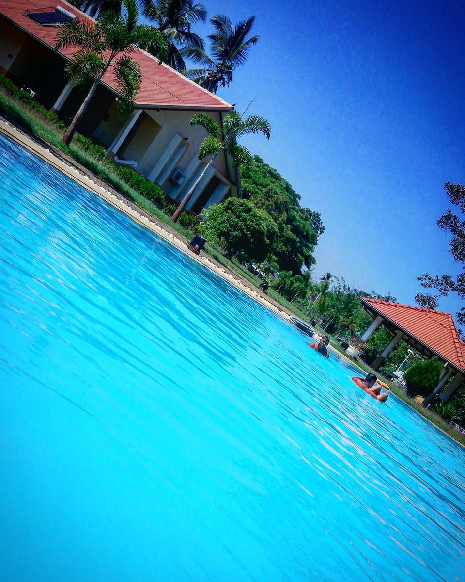 NaturalLanka's tweet photo. #prilaga #swimmingpoolfun #swimmingpooldesign #swimmingpooltime #swimmingpools #swimmingpool #swimmingpoolview #swimmingpoolservice #swimmingpool🏊 #swimmingpoolbuilder #swimmingpoolday #swimmingpoolparty https://t.co/ooIbuBVBAj