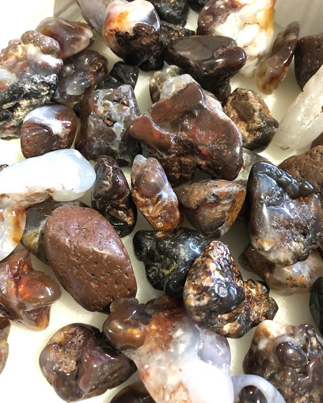 Sacredcrystals's tweet photo. Natural Fire Agate A grade tumbles.. I forgot I had these babies…
.
.
https://t.co/ux86jImLIq
#crystals #crystalsofig #healingcrystals #crystalshop #sacredearthcrystals #gemstones #magic #amethyst #sacredspace #healingstones #treatyoself #crystalhealling #loveandlight #p… https://t.co/cTOmCrjVSf