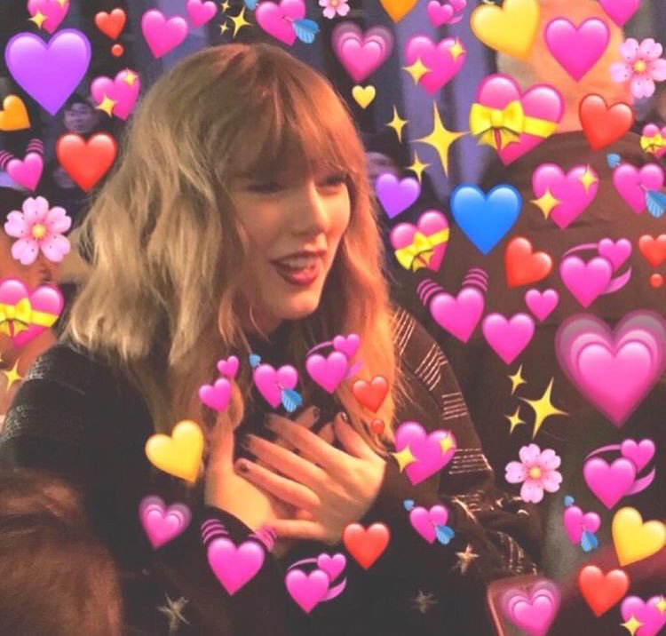 the meredith pillow tweet media