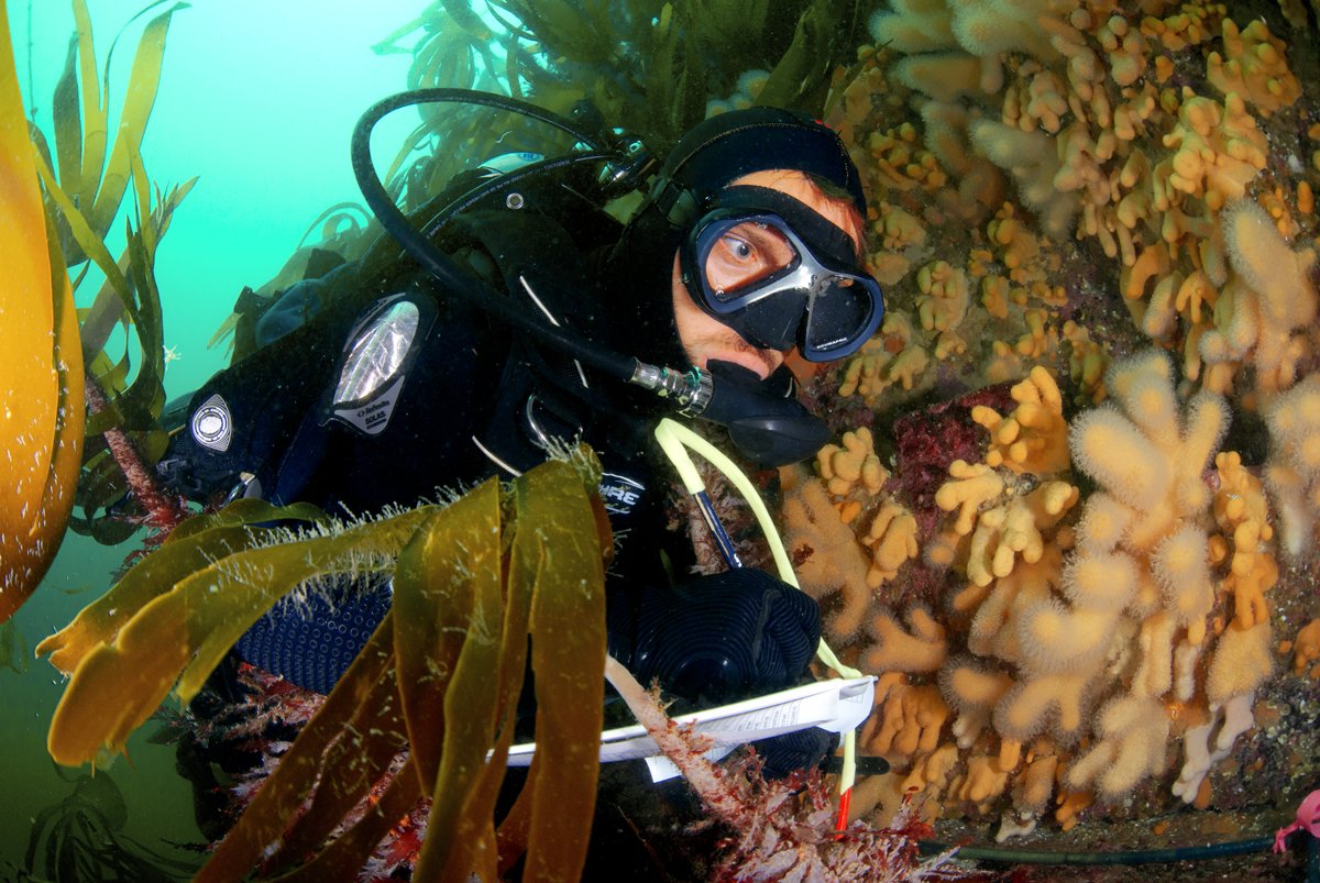 DanSmale1's tweet photo. Why marine heatwaves matter: summary in the The Conversation https://t.co/UH7TAyDSm2 @ConversationUK @ConversationEDU @twernberg https://t.co/Dprr2yPQhU