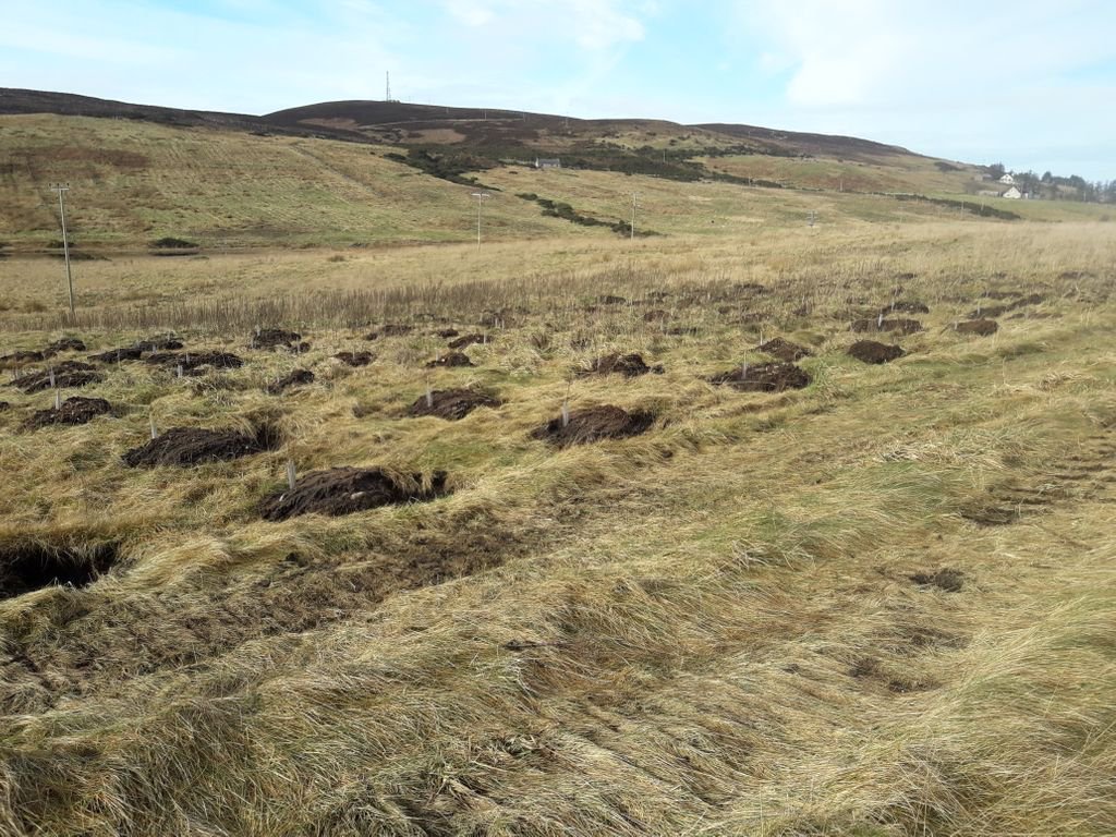 TilhillForestry's tweet photo. A beat-up being carried out at on a new woodland creation scheme on the North coast of Scotland managed by North Highland District, Senior Forest Manager, Callum Nicolson.
#Woodlandmanagement #ForestManager
https://t.co/eggwmqJP4F https://t.co/O6NTPQhmC5