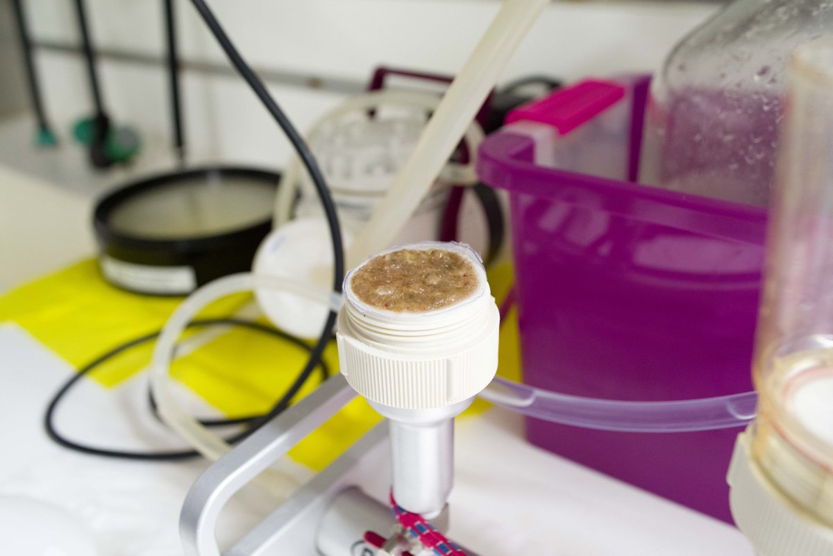 PERLE (@perle_cruises) on Twitter photo Day 7: day and night working groups for zooplankton collection, particulate filtration and oxygen and pH analysis. Already 43 CTD profiles have been completed. We continue our journey towards the south-east of Crete <a href="/IMEV_mer/">IMEV-Institut de la Mer de Villefranche</a> @MIOceanologie @LOMIC_UMR7621 <a href="/hcmr_gr/">hcmr</a> <a href="/SznDohrn/">Stazione Zoologica Anton Dohrn</a> Day 7: day and night working groups for zooplankton collection, particulate filtration and oxygen and pH analysis. Already 43 CTD profiles have been completed. We continue our journey towards the south-east of Crete <a href="/IMEV_mer/">IMEV-Institut de la Mer de Villefranche</a> @MIOceanologie @LOMIC_UMR7621 <a href="/hcmr_gr/">hcmr</a> <a href="/SznDohrn/">Stazione Zoologica Anton Dohrn</a>