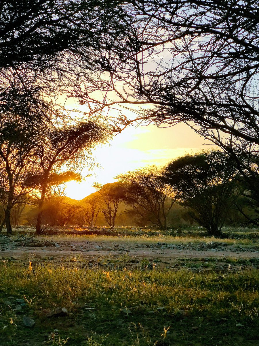 Turki ✨ tweet media