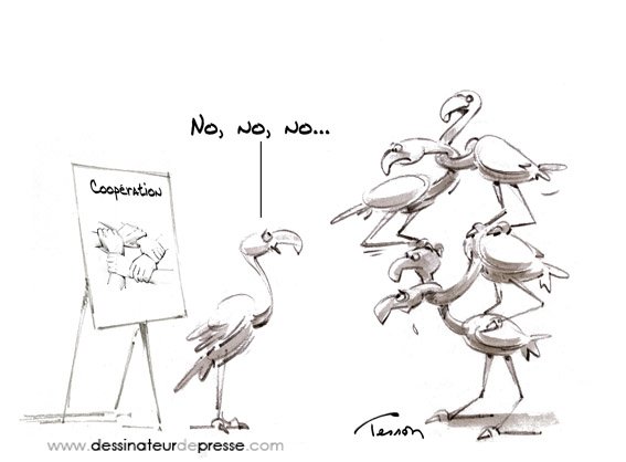 Tutos en ligne pour actionnaires familiaux - La cohésion familiale est fondamentale et précieuse. Pour la renforcer, Blandine Prouvost, avocate et Clémence Mellerio, psychologue, construisent un parcours en ligne à deux voix sur mesure pour chaque famille. #cohésion #gouvernance