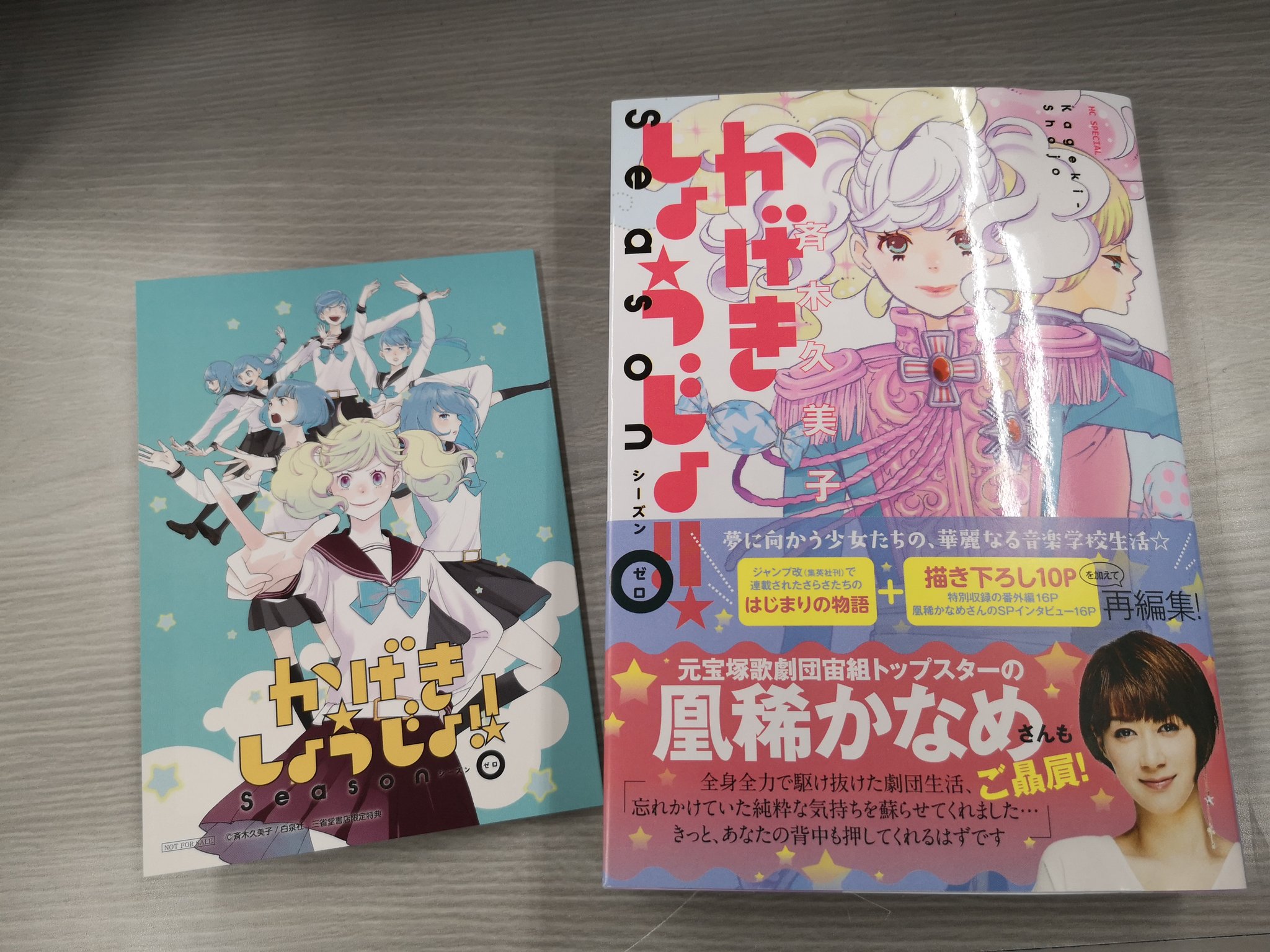 マニバスクのリーフレット